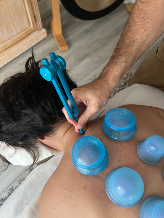 Sage Wind Healing w/ Bonus Add-on