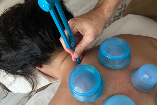 Sage Wind Healing w/ Bonus Add-on